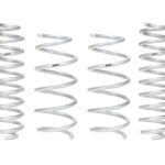 Eibach Performance Front-Rear Pro-Lift Springs for 2019-2022 Toyota RAV4 4WD